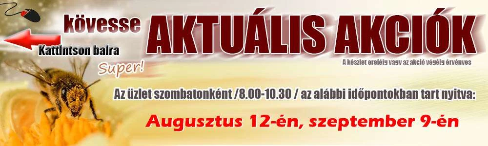 Aktulis akcik