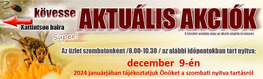 Aktulis akcik