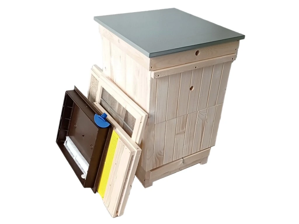 B10 hive with accessory