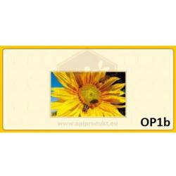 ntapads cimkk sajt tervezssel, 100 db - minta B